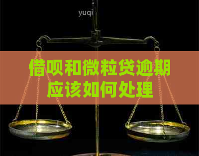 信用卡和微粒贷逾期应该如何处理