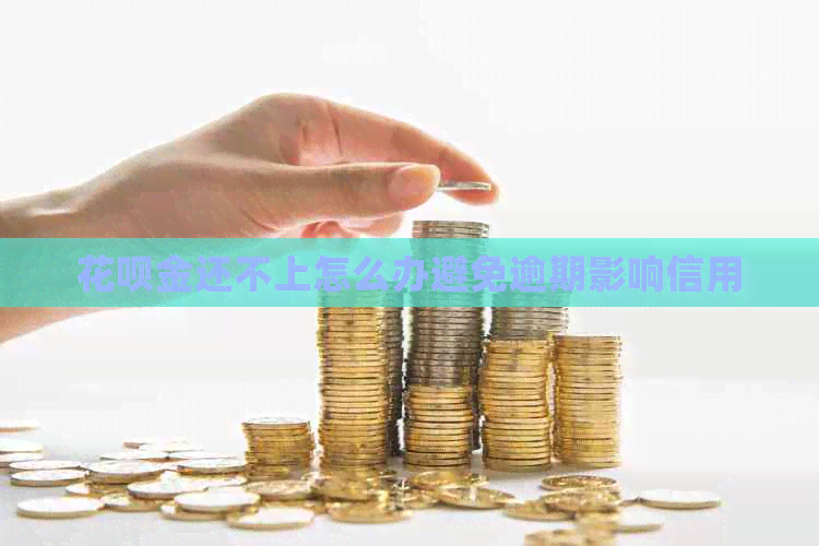 白条金还不上怎么办避免逾期影响信用