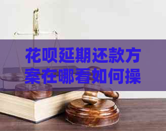 白条延期还款方案在哪看如何操作