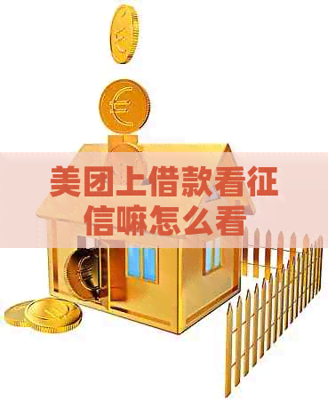 美团上借款看嘛怎么看