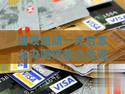 信用卡逾期一天后怎么办啊该怎么处理