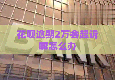 白条逾期2万会起诉嘛怎么办