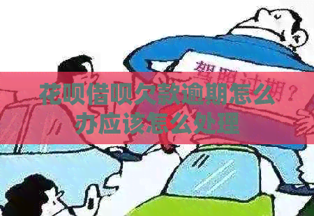 白条信用卡欠款逾期怎么办应该怎么处理