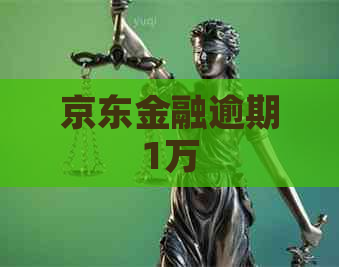 京东金融逾期1万
