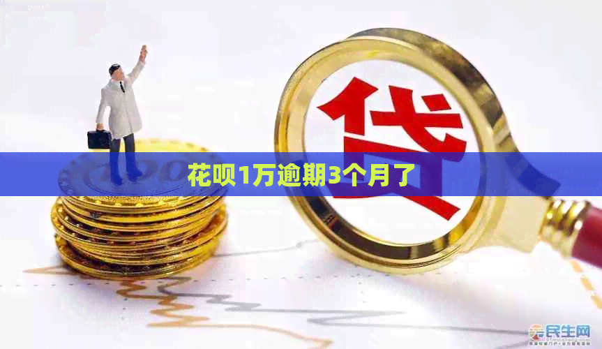 白条1万逾期3个月了