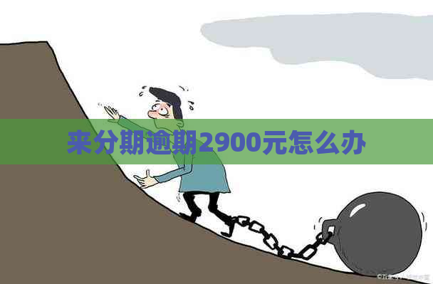 来分期逾期2900元怎么办