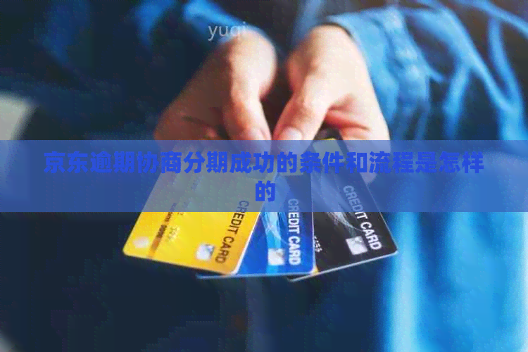 京东逾期协商分期成功的条件和流程是怎样的