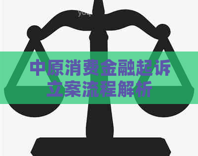 中原消费金融起诉立案流程解析