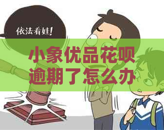 小象优品白条逾期了怎么办