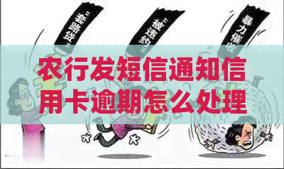 农行发短信通知信用卡逾期怎么处理