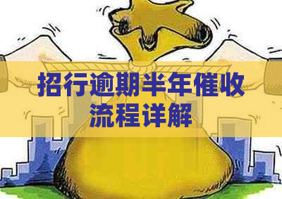 招行逾期半年流程详解