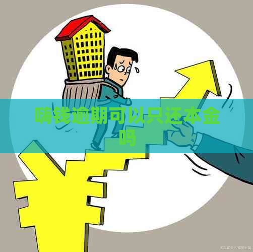 嗨钱逾期可以只还本金吗