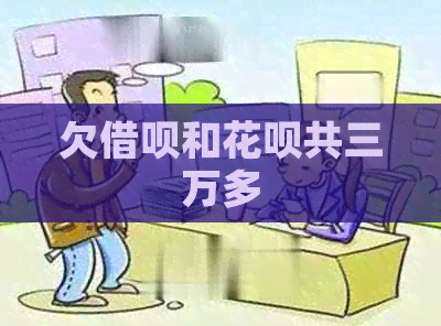 欠信用卡和白条共三万多