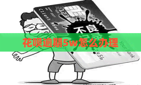 白条逾期5w怎么办理