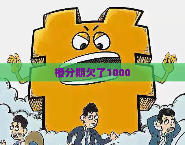 橙分期欠了1000