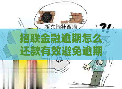 招联金融逾期怎么还款有效避免逾期费用