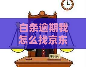 白条逾期我怎么找京东客服帮忙处理