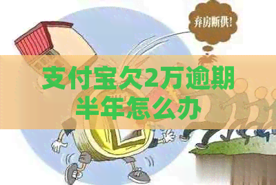 信用卡欠2万逾期半年怎么办
