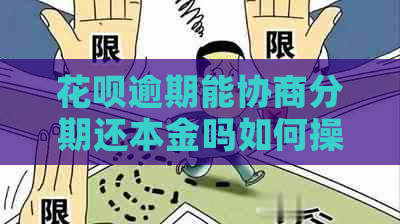 白条逾期能协商分期还本金吗如何操作