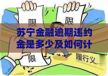 苏宁金融逾期违约金是多少及如何计算