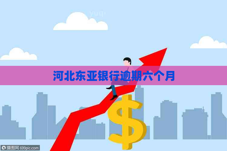 河北东亚银行逾期六个月