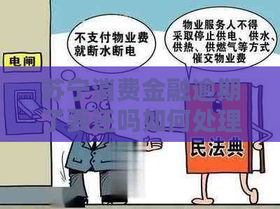 苏宁消费金融逾期了要还吗如何处理
