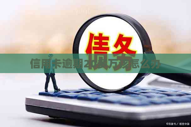 信用卡逾期20多万该怎么办