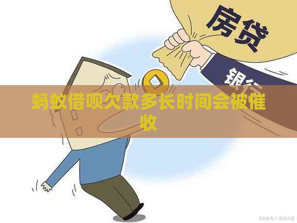 蚂蚁信用卡欠款多长时间会被