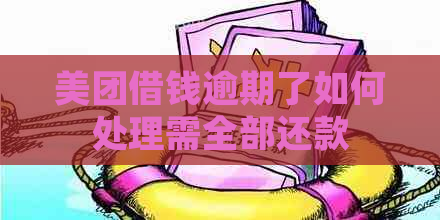 美团借钱逾期了如何处理需全部还款