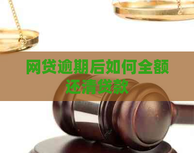 网贷逾期后如何全额还清贷款