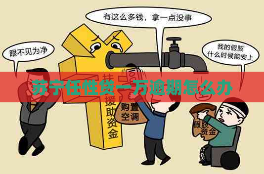 苏宁任性贷一万逾期怎么办
