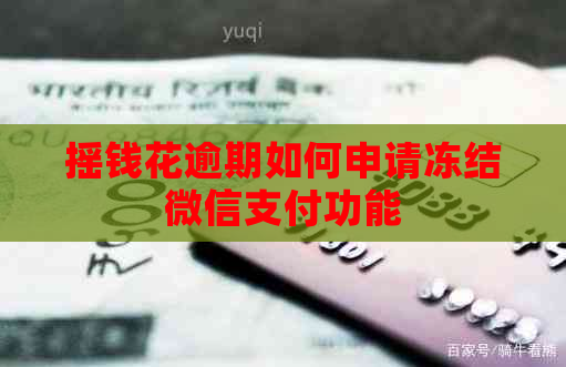摇钱花逾期如何申请冻结微信支付功能
