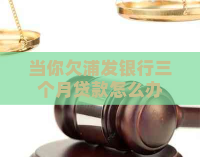 当你欠浦发银行三个月贷款怎么办