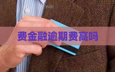 费金融逾期费高吗