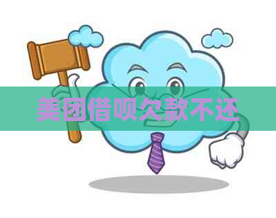 美团信用卡欠款不还