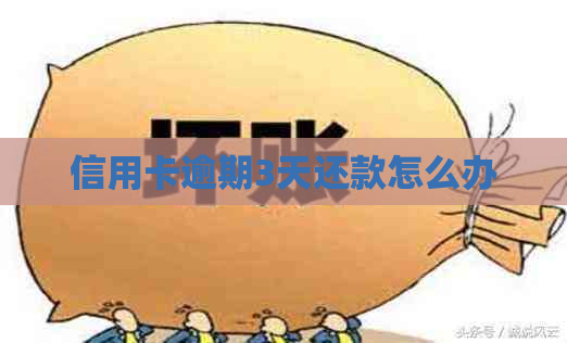 信用卡逾期3天还款怎么办