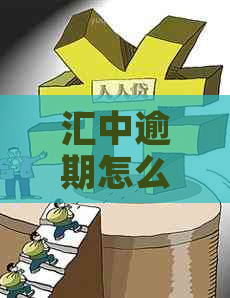汇中逾期怎么办有效解决方法