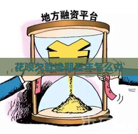 白条欠款逾期五年怎么办