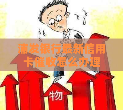 浦发银行最新信用卡怎么办理