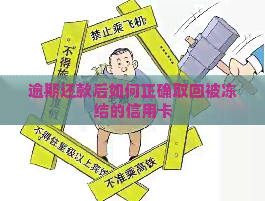 逾期还款后如何正确取回被冻结的信用卡