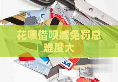 白条信用卡减免罚息难度大