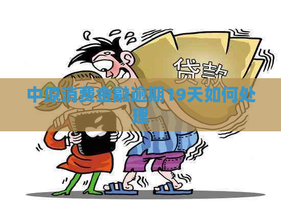 中原消费金融逾期19天如何处理