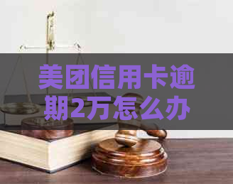 美团信用卡逾期2万怎么办