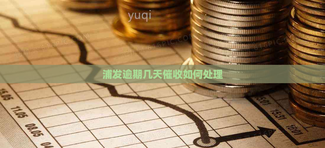 浦发逾期几天如何处理