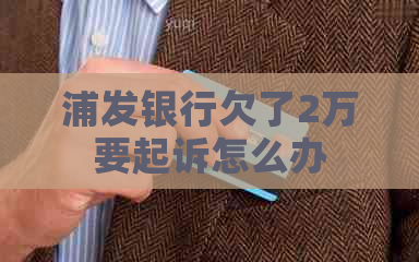 浦发银行欠了2万要起诉怎么办