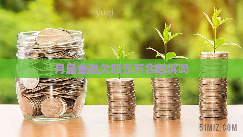 月星金融欠四五万会起诉吗