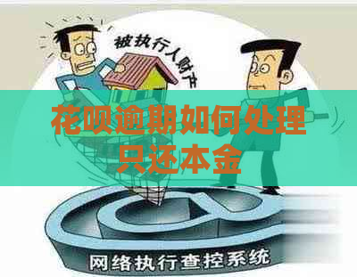 白条逾期如何处理只还本金