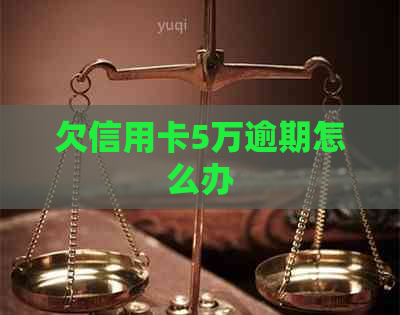 欠信用卡5万逾期怎么办