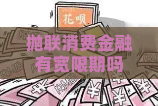 抛联消费金融有宽限期吗