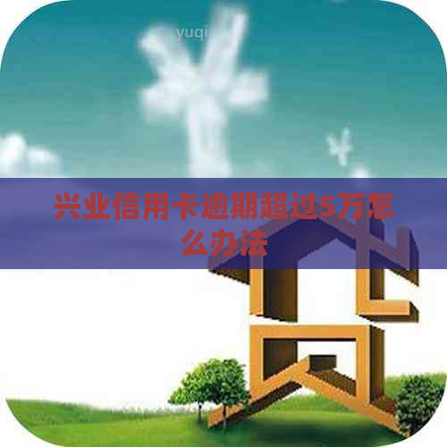 兴业信用卡逾期超过5万怎么办法